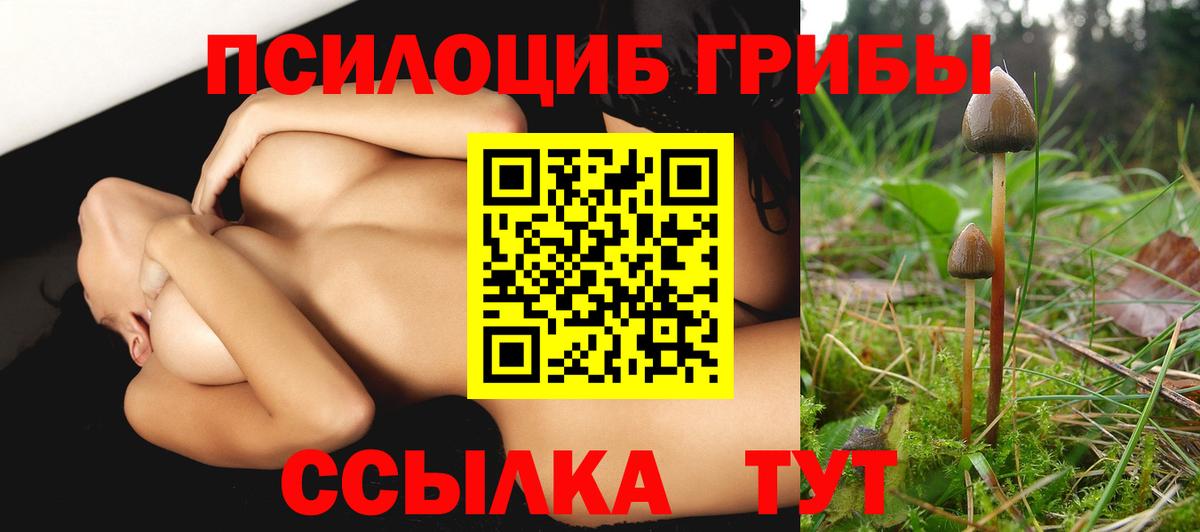 Галлюциногенные грибы мицелий  Вход с VPN  Тула 
