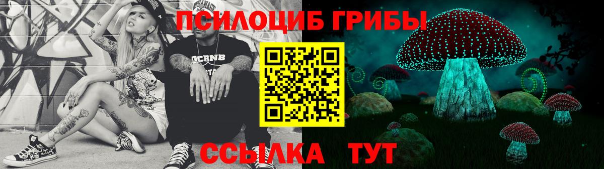 Галлюциногенные грибы Cubensis Тула